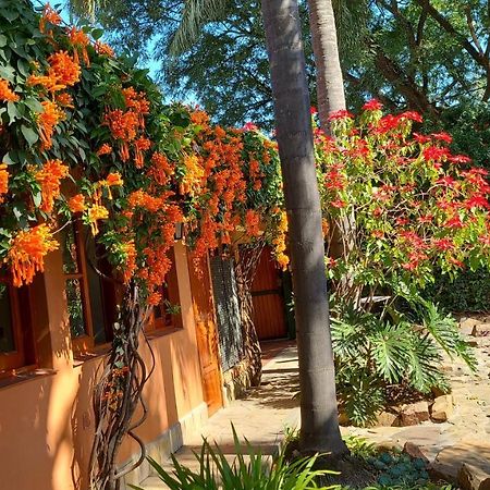 Apartment Virgen Del Cerro ซัลตา ภายนอก รูปภาพ